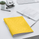 2-ringsmap van flexibel plastic Leitz WOW A4 - rug 3,2 cm