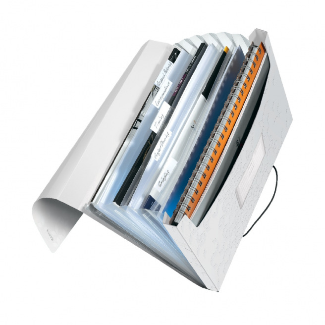 Trieur valisette à soufflet et élastique Leitz WOW A4 - 6 compartiments