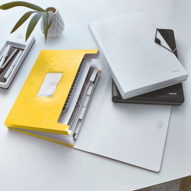 Sorteerder koffertje met harmonica en elastiek Leitz WOW A4 - 6 compartimenten Sorteerder koffertje met harmonica en elastiek Leitz WOW A4 - 6 compartimenten