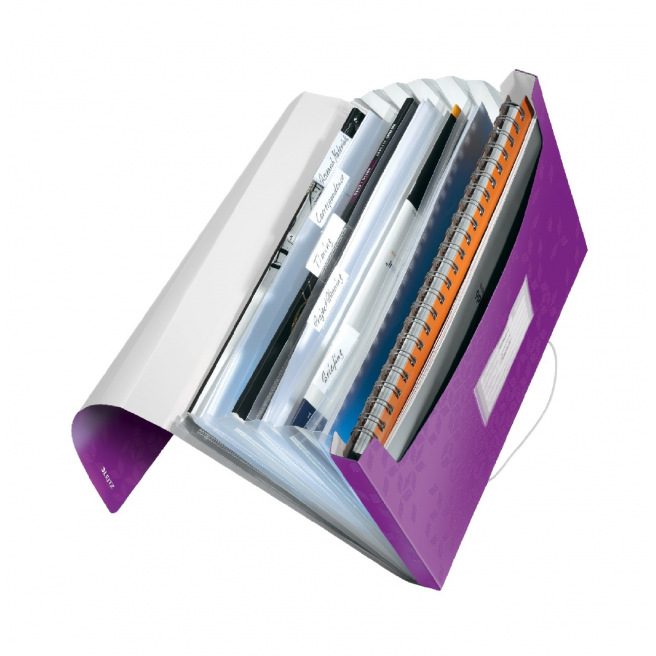 Sorteerder koffertje met harmonica en elastiek Leitz WOW A4 - 6 compartimenten Sorteerder koffertje met harmonica en elastiek Leitz WOW A4 - 6 compartimenten