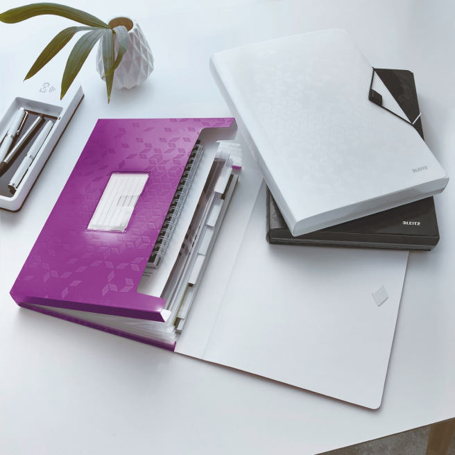 Trieur valisette à soufflet et élastique Leitz WOW A4 - 6 compartiments