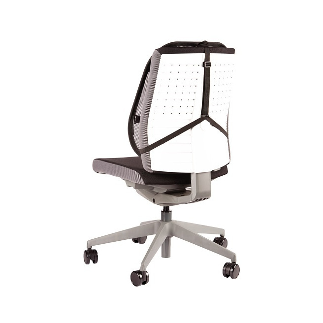 Fellowes PROFESSIONAL SERIES rugsteun in gaas