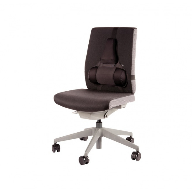 Support dorsal Fellowes PREMIUM PROFESSIONAL SERIES