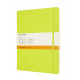 Moleskine CLASSIC notitieboekje