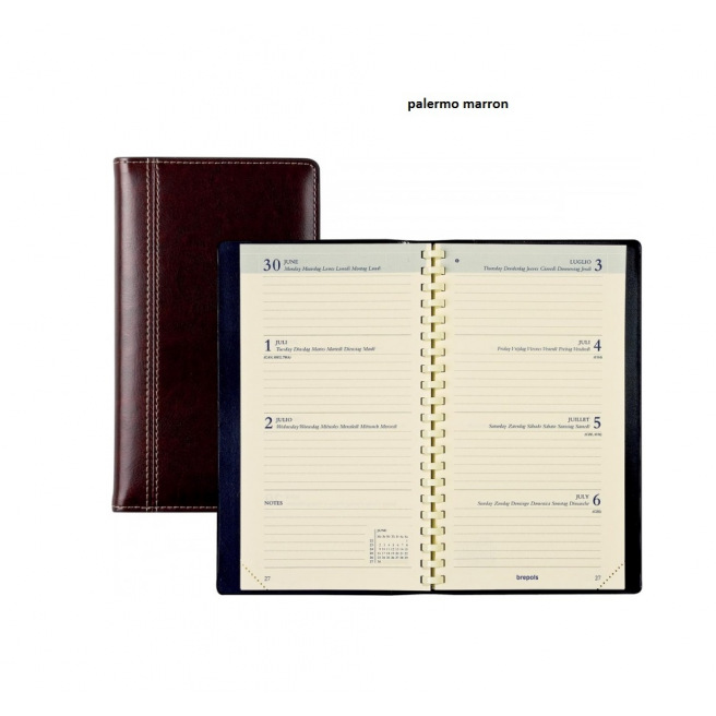 Brepols INTERPLAN Agenda - 9 x 16 cm - 1 week over 2 pagina's Brepols INTERPLAN Agenda - 9 x 16 cm - 1 week over 2 pagina's