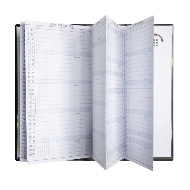 Planning Exacompta EXAPLAN 17 accordeon - 9 x 17,5 cm - 1 maand op 2 pagina's Planning Exacompta EXAPLAN 17 accordeon - 9 x 17,5 cm - 1 maand op 2 pagina's