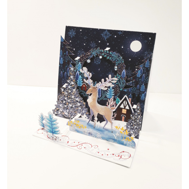 Carte de Noël Pictura 3D Carte de Noël Pictura 3D