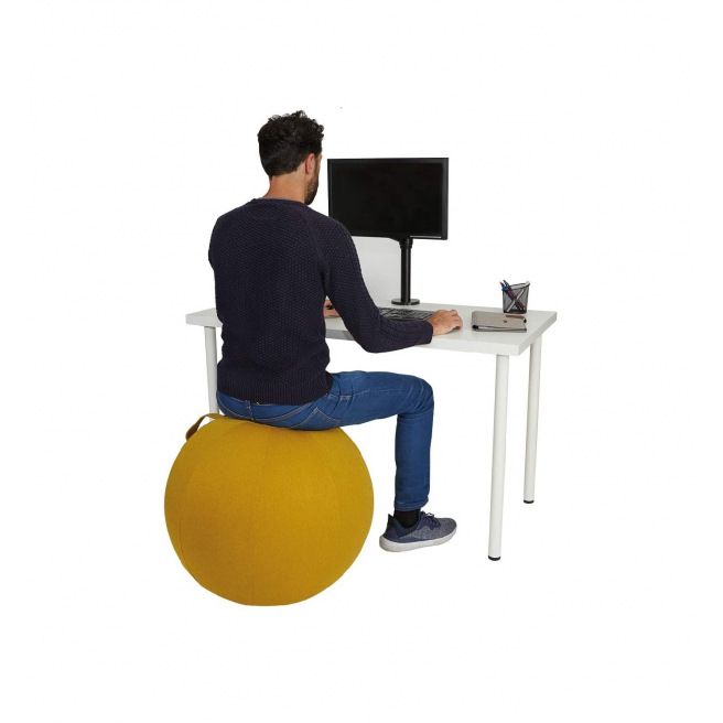 Ergonomische Balstoel Alba