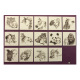 Kleurboek Avenue Mandarine WILD
