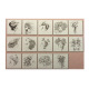 Kleurboek Avenue Mandarine WILD