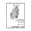 Cahier de dessin AURORA A4 - 120 g