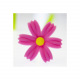 Balpen BLOEM met flexibele steel