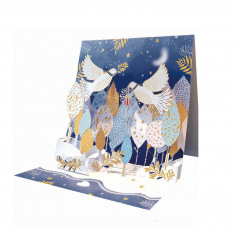 Pictura 3D Kerstkaart