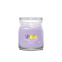 Bougie Yankee Candle Collection Signature