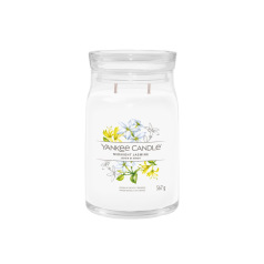 Yankee Candle Signature Collectie Kaars