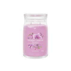 Yankee Candle Signature Collectie Kaars
