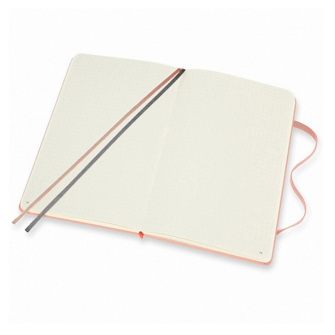 Carnet Moleskine BULLET - LARGE - 13 x 21 cm