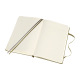 Moleskine PASSIONS notitieboek - GROOT - 13 x 21 cm