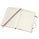 Moleskine PASSIONS notitieboek - GROOT - 13 x 21 cm