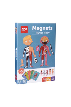 Magnetisch spel APLI MAGNETS HET MENSELIJK LICHAAM