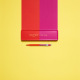 Balpen Carand'Ache 849 PAUL SMITH - gelimiteerde editie 4