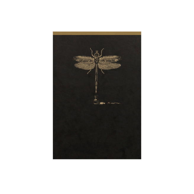 Bloc-notes toilé Clairefontaine FLYING SPIRIT Bloc-notes toilé Clairefontaine FLYING SPIRIT