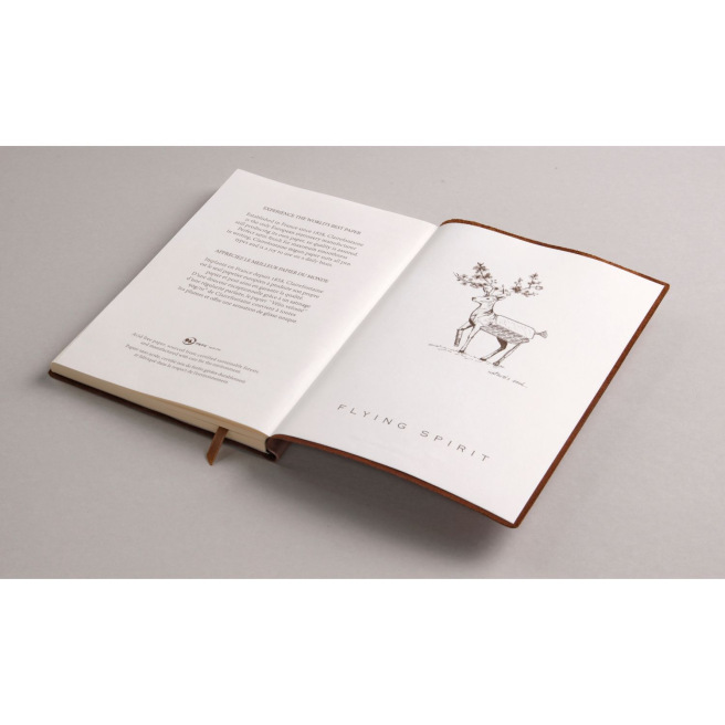 Carnet en cuir Clairefontaine FLYING SPIRIT - A5 Carnet en cuir Clairefontaine FLYING SPIRIT - A5