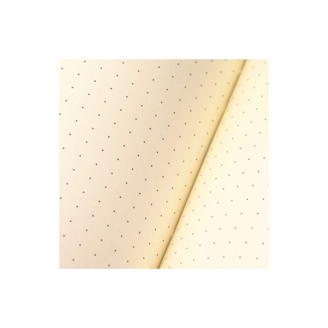 Clairefontaine FLYING SPIRIT lederen notitieboek - A5 Clairefontaine FLYING SPIRIT lederen notitieboek - A5