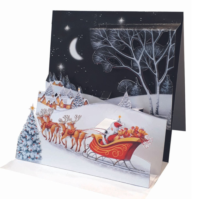 Carte de Noël Pictura 3D Carte de Noël Pictura 3D