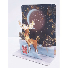 Pictura 3D mini kerstkaart