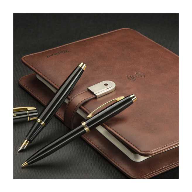 Sheaffer 100 Sheaffer 100