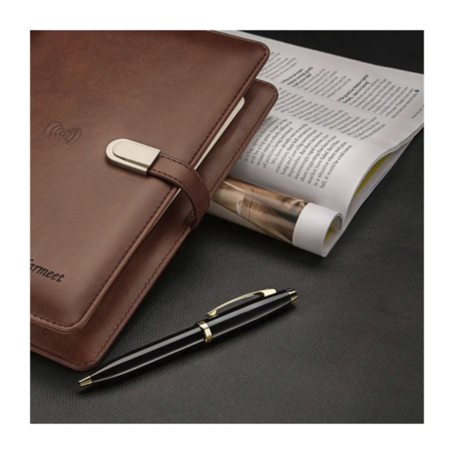 Sheaffer 100 Sheaffer 100