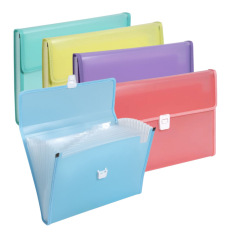 Exacompta CHROMALINE sorteermap - plastic - 13 compartimenten