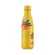 Thermosfles CHILLY'S 500 ML
