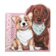 TOP MODEL kleurboek met stickers