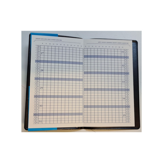 Agenda Ryam MINI PLANMASTER - 9 x 15 cm - 1 mois sur 2 pages