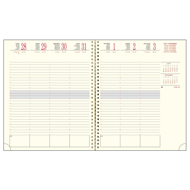 Agenda scolaire Exacompta SAD 22 - 16 MOIS - 18,5 x 22,5 cm - 1 semaine sur 2 pages