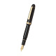 Platinum CENTURY 3776 Pen