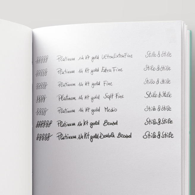 Platinum CENTURY 3776 Pen