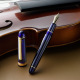 Platinum CENTURY 3776 Pen