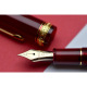 Platinum CENTURY 3776 Pen
