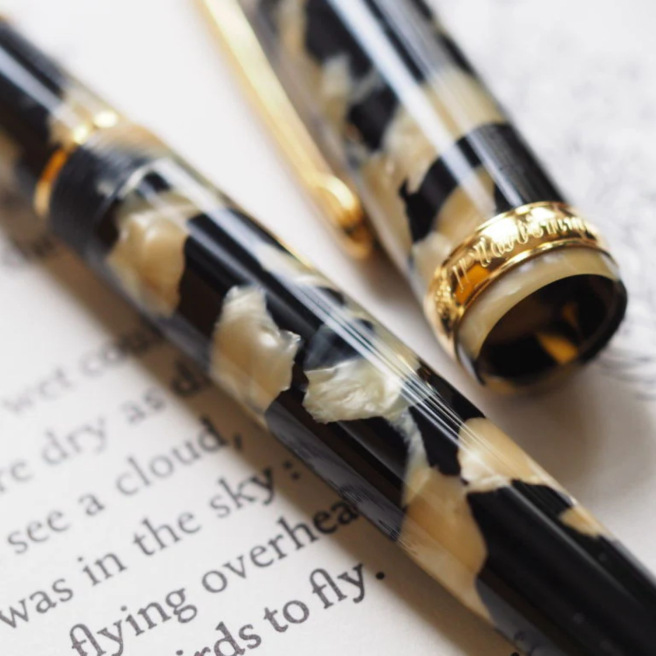 Platinum CENTURY 3776 Celluloid Pen