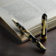 Platinum CENTURY 3776 Celluloid Pen
