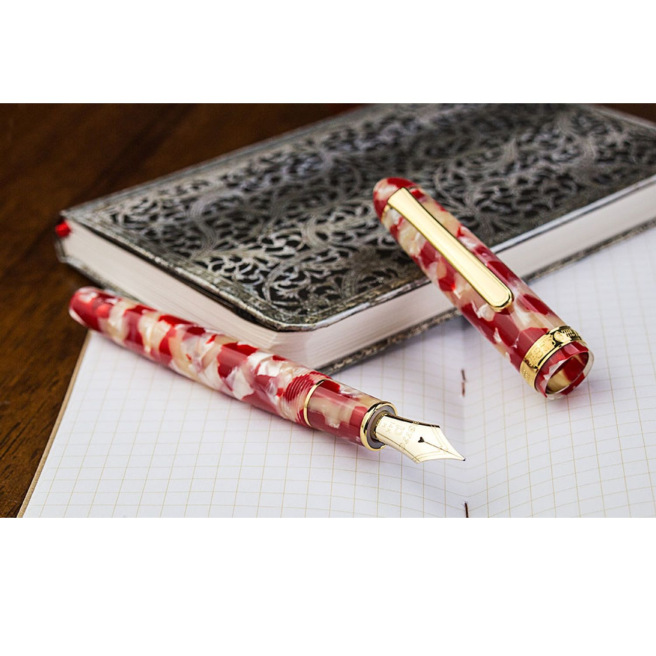 Platinum CENTURY 3776 Celluloid Pen