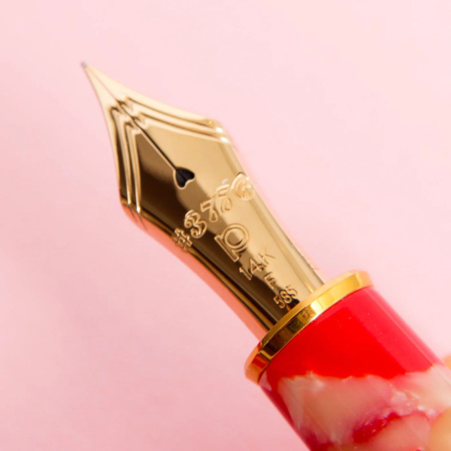 Platinum CENTURY 3776 Celluloid Pen