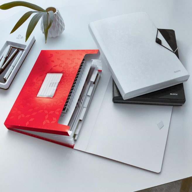 Trieur valisette à soufflet et élastique Leitz WOW A4 - 6 compartiments