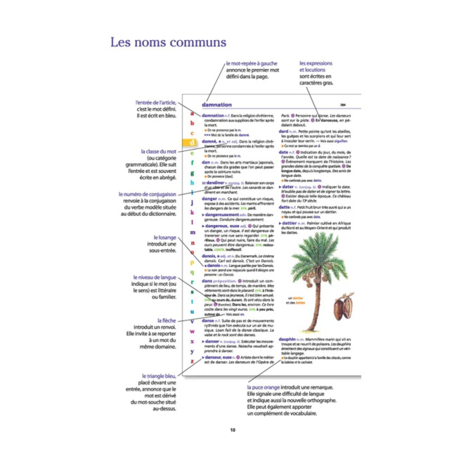 LAROUSSE JUNIOR 2 in 1 woordenboek voor 7-11 jarigen