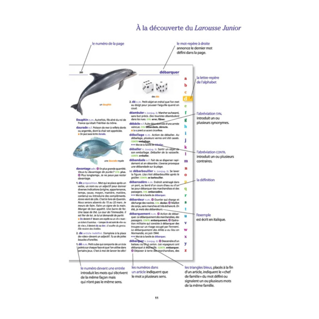 LAROUSSE JUNIOR 2 in 1 woordenboek voor 7-11 jarigen