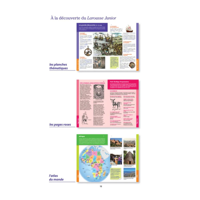 LAROUSSE JUNIOR 2 in 1 woordenboek voor 7-11 jarigen