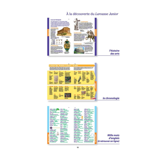 LAROUSSE JUNIOR 2 in 1 woordenboek voor 7-11 jarigen